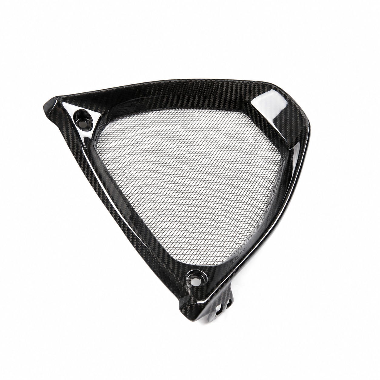 Carbon Fiber Radiator V-Panel for Aprilia RSV4 / Tuono V4 (2021–2024) | View 1 | ZOOMVIBE