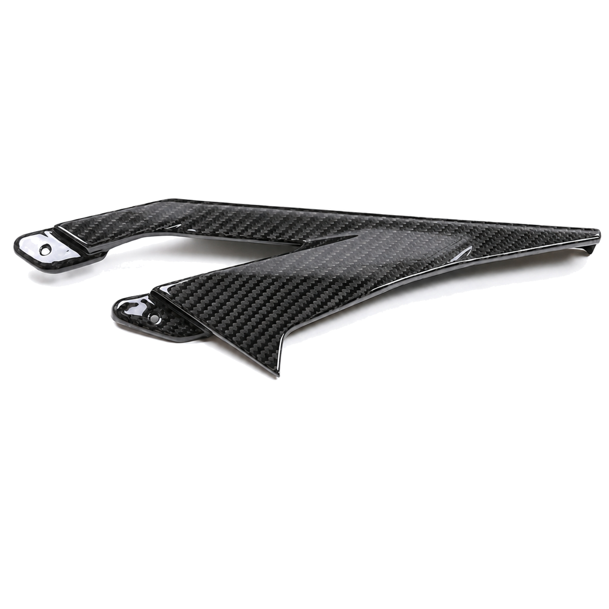 Aprilia GPR 250R 2021-2023 carbon fiber chain guard - view 1 | ZOOMVIBE MOTO